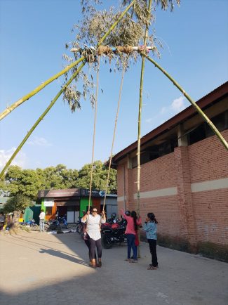 Bamboo Swing_R