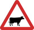 牛に注意