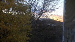 冬空とイチョウ