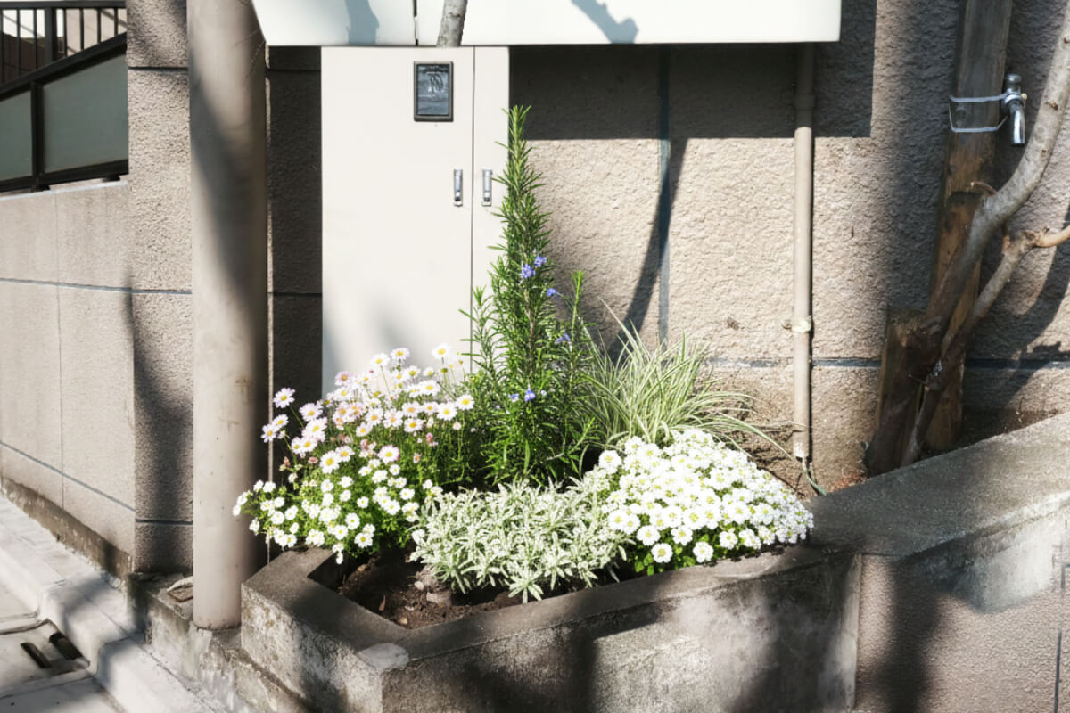 花壇に植物を植えた場合の合成イメージ画像