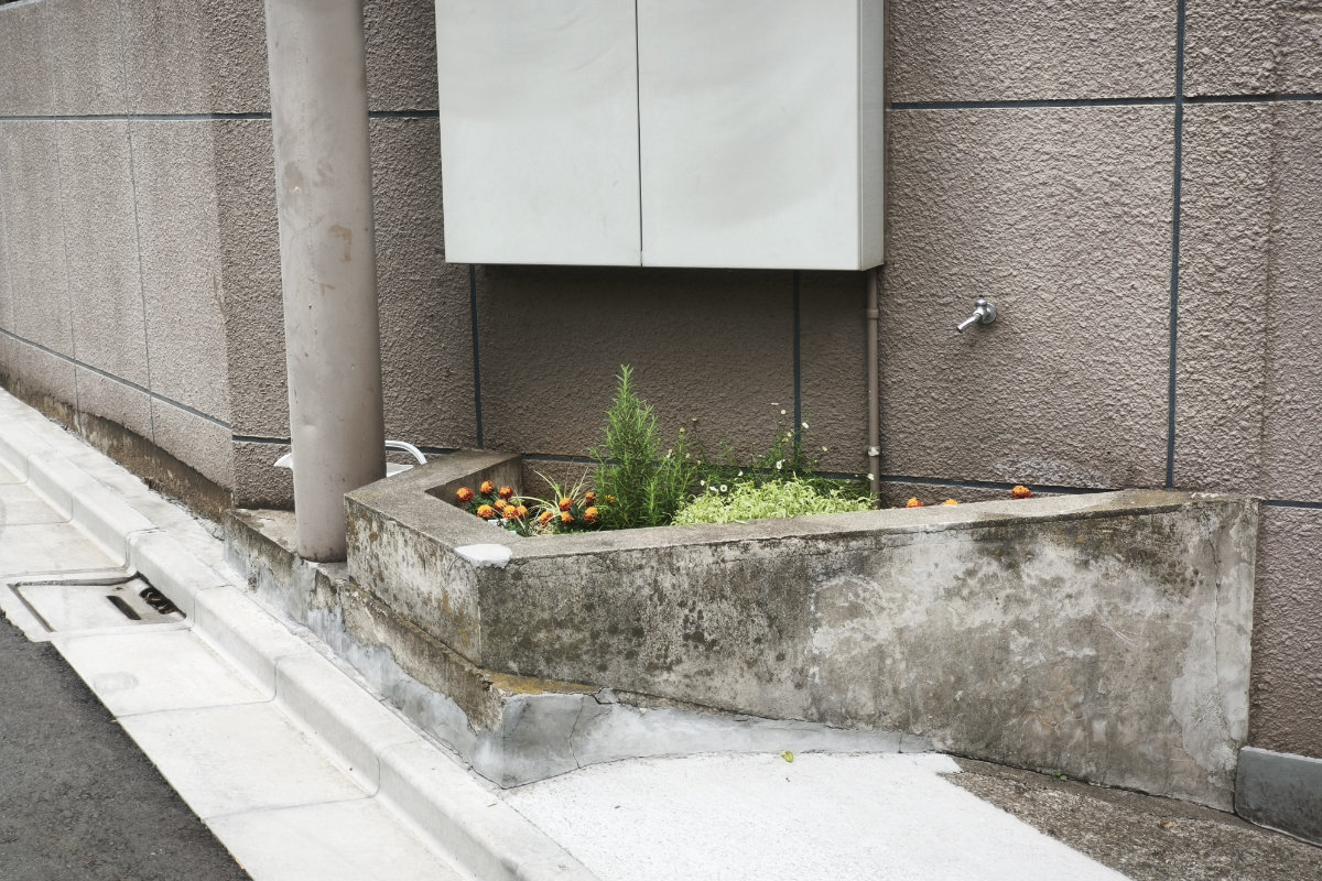 道路から見た事務所の花壇(植え込み)の様子
