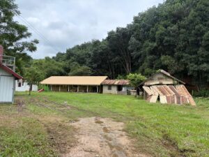 現地の学校